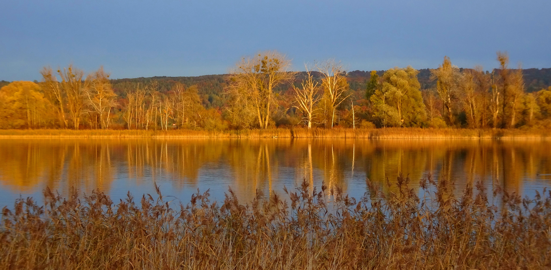 Spiegelungen im Ammersee