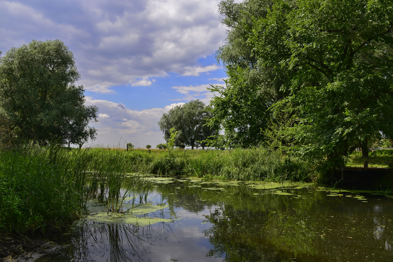 °Spiegelungen im Bach°