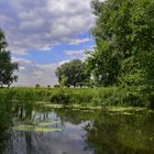 °Spiegelungen im Bach°