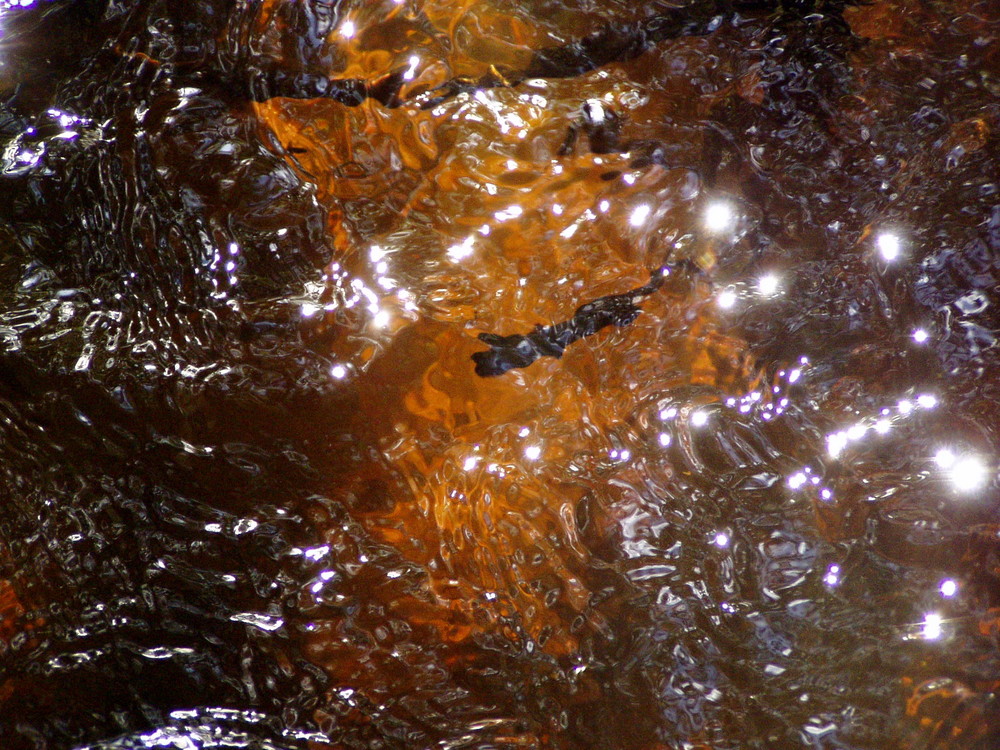 Spiegelungen im Bach