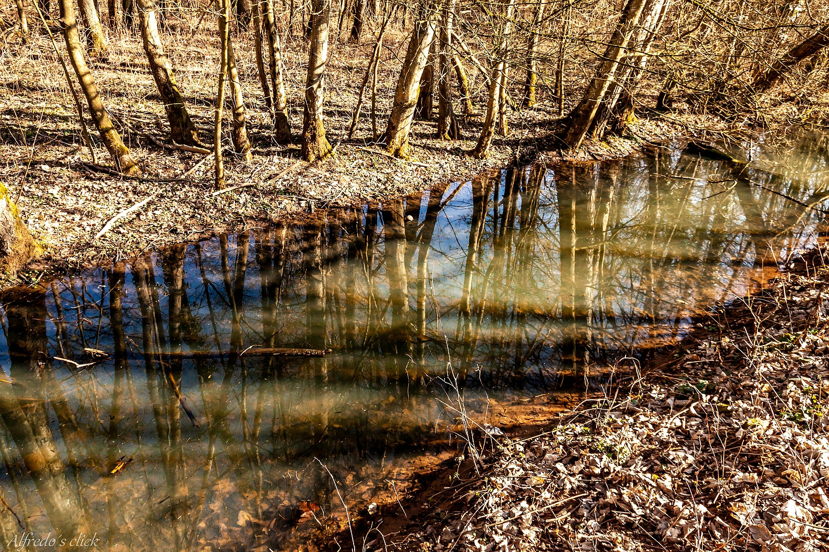 Spiegelungen im Bachlauf