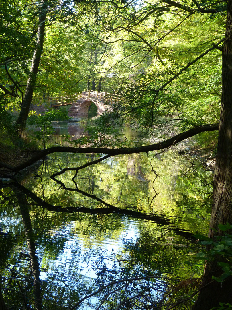 Spiegelungen im Beckerbruch Dessau