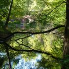 Spiegelungen im Beckerbruch Dessau