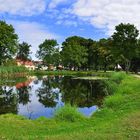 Spiegelungen im Dorfteich