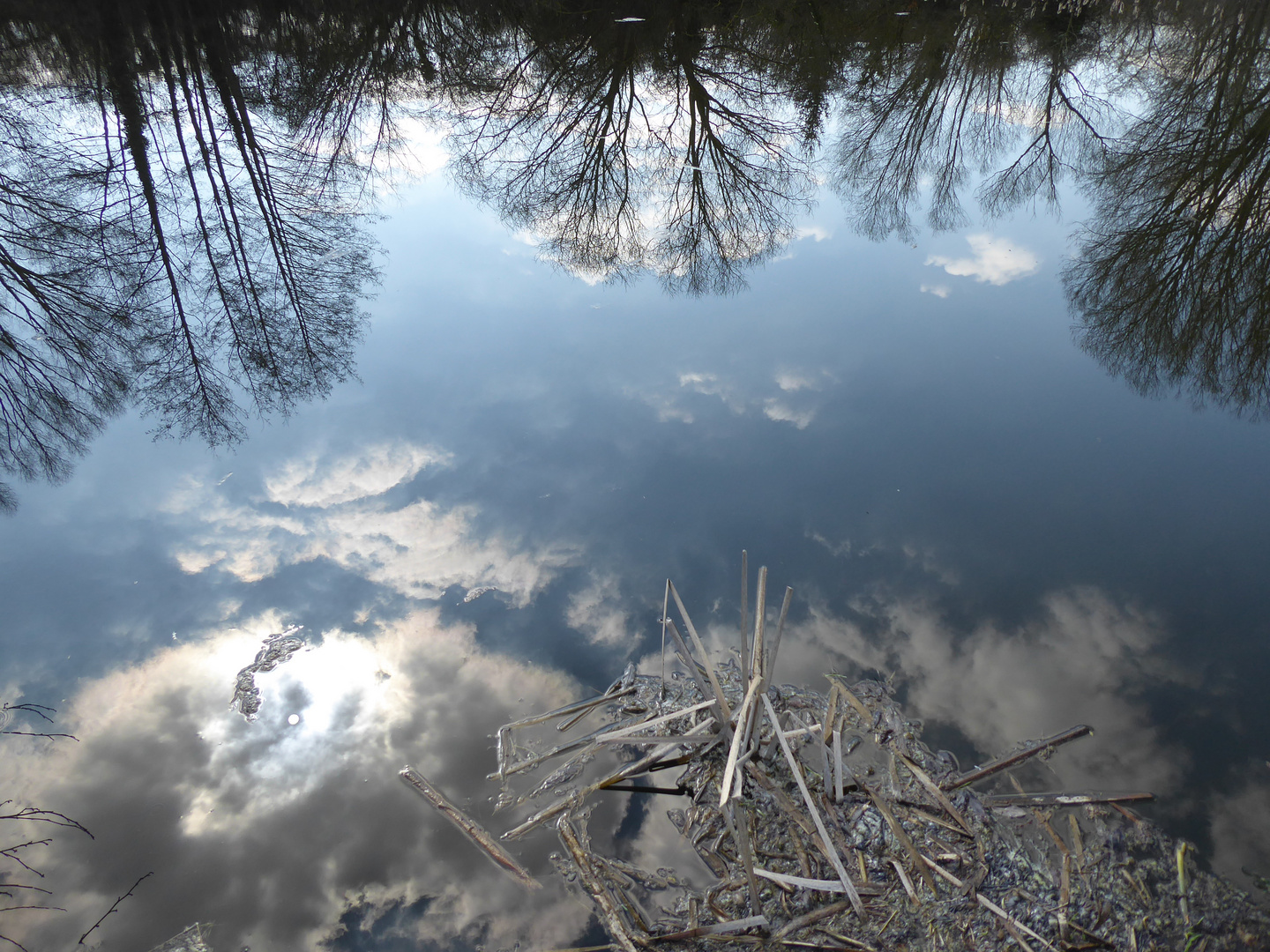 Spiegelungen im Dorfteich