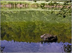 Spiegelungen im Doubs