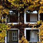 spiegelungen im fenster, in herbstlicher stimmung