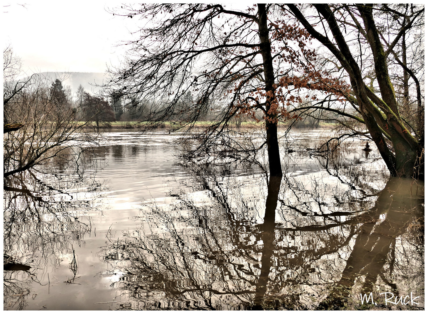 Spiegelungen im Fluss !