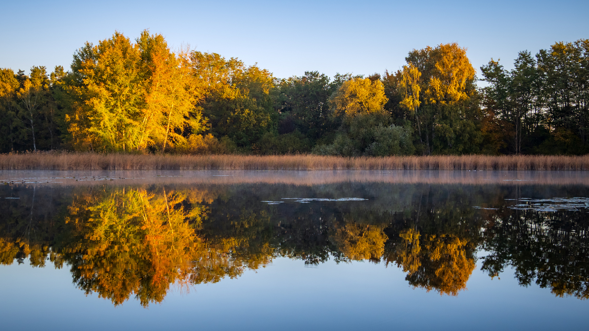 Spiegelungen im Herbst