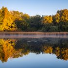 Spiegelungen im Herbst