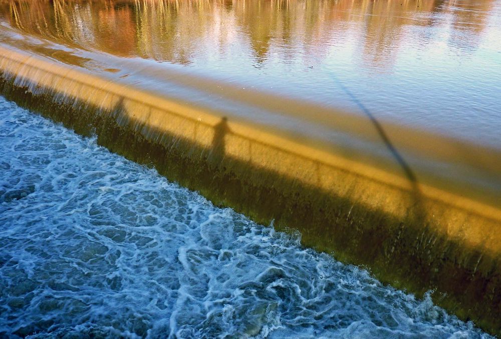 Spiegelungen im Hochwasser