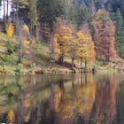 Spiegelungen im Karsee Nonnenmattweiher ...