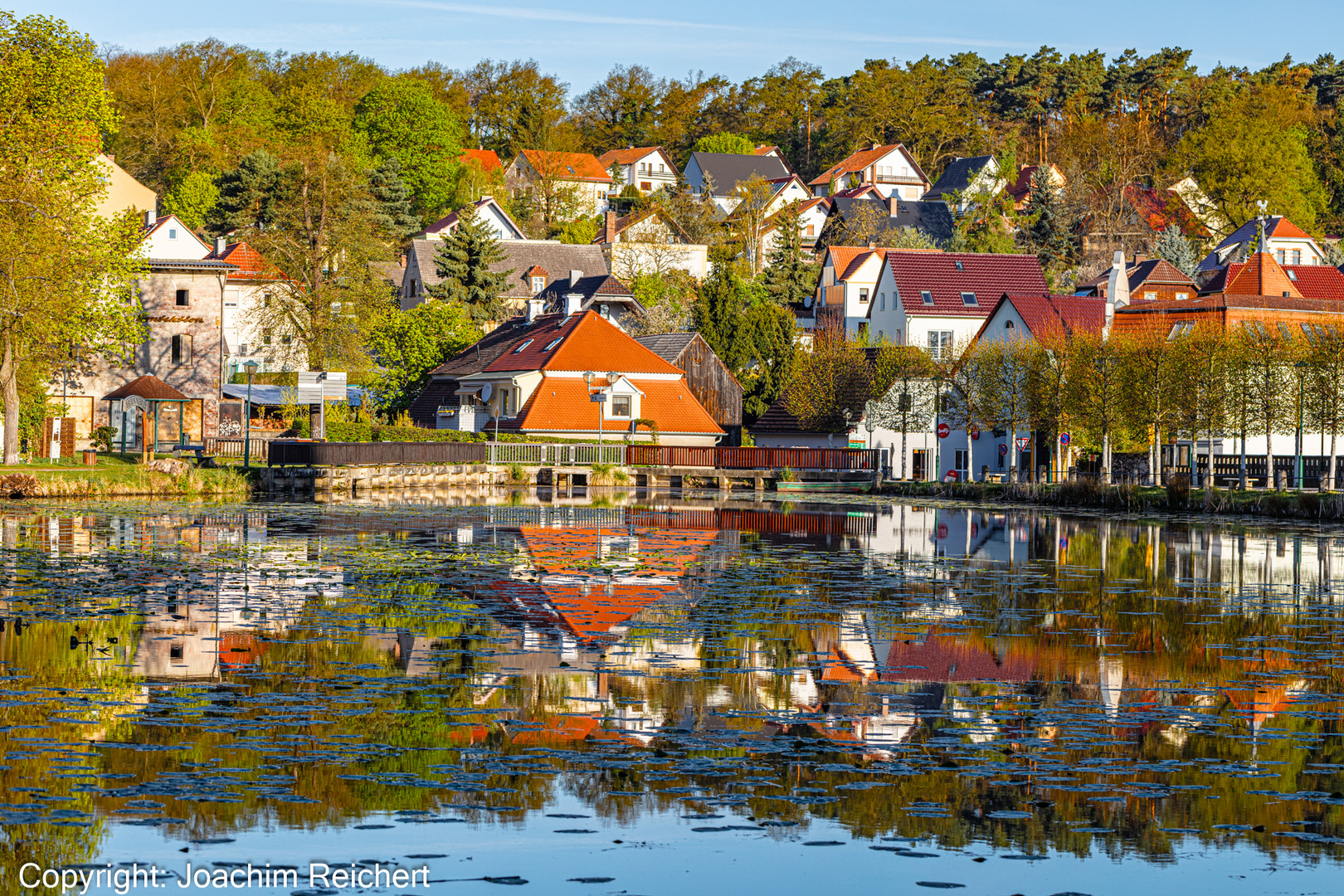 Spiegelungen im Klosterteich von Neuzelle