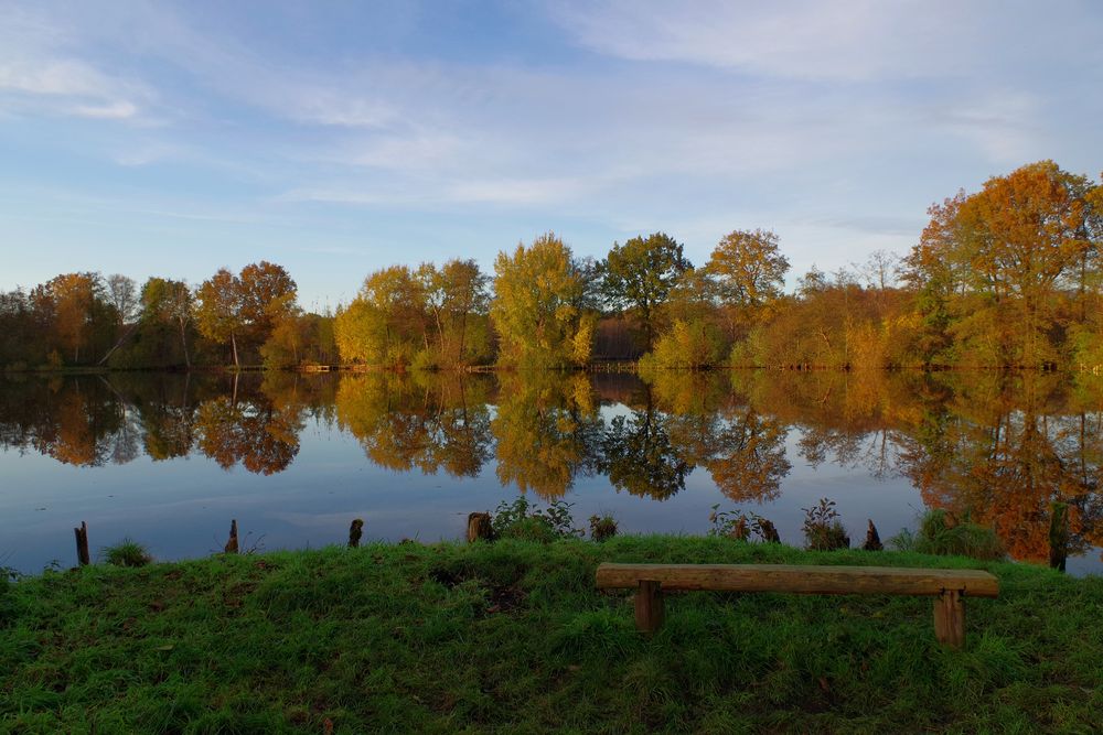 Spiegelungen im Moor