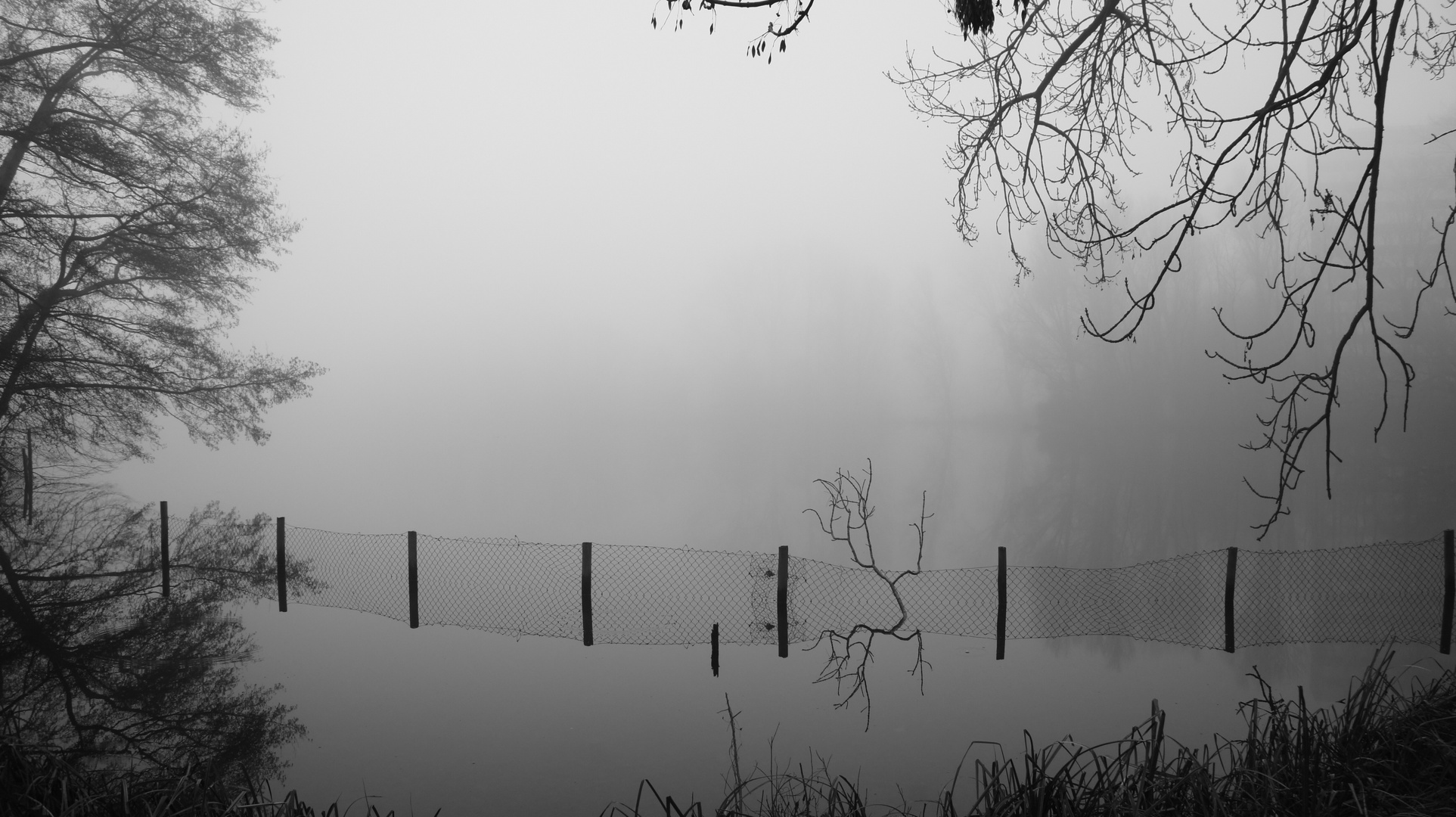 Spiegelungen im Nebel