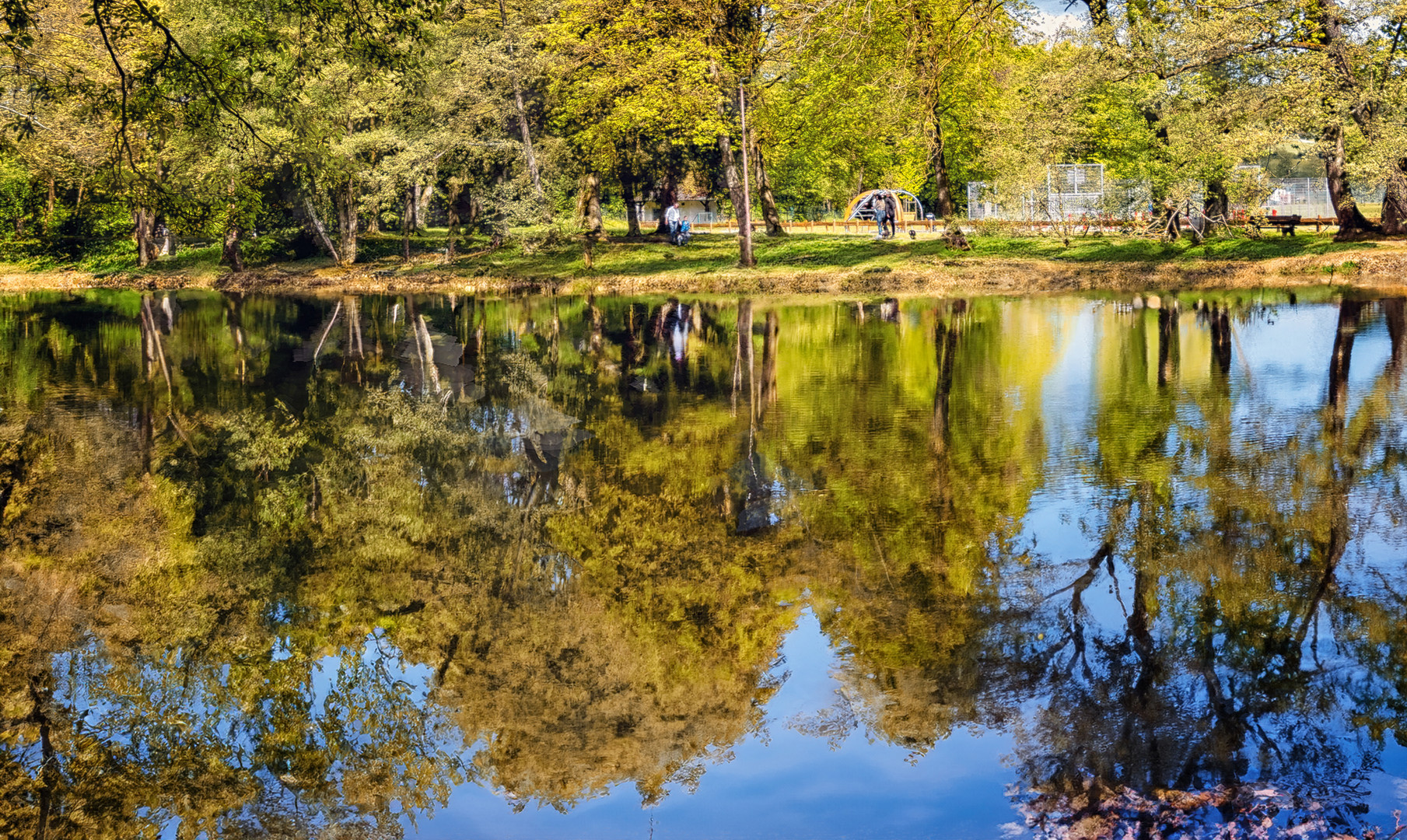 Spiegelungen im Park