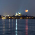 Spiegelungen im Rhein