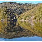 Spiegelungen im Rursee