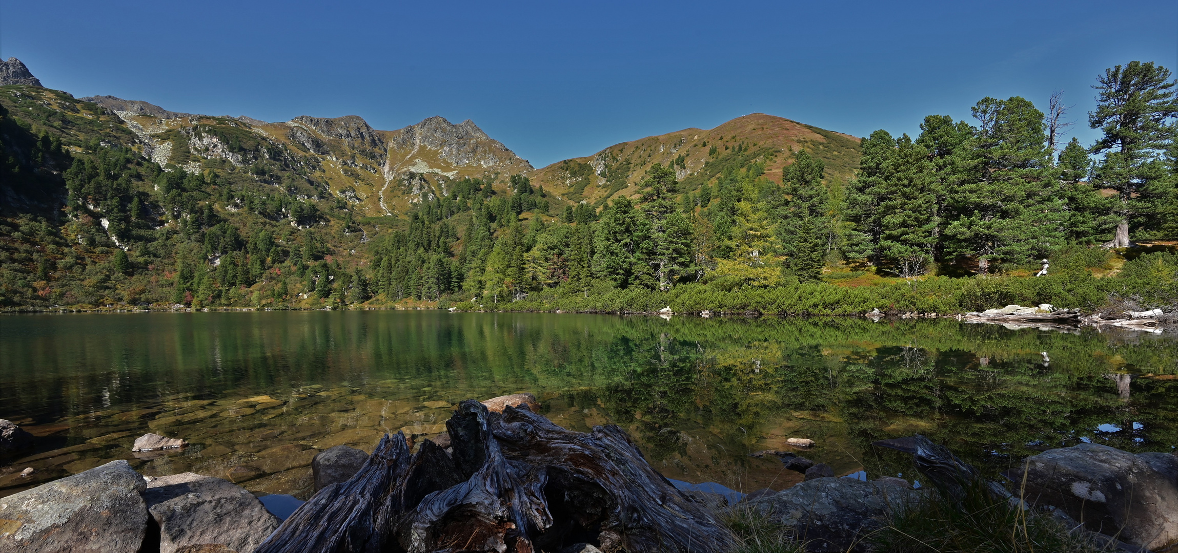 Spiegelungen im Scheibelsee