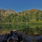 Spiegelungen im Scheibelsee