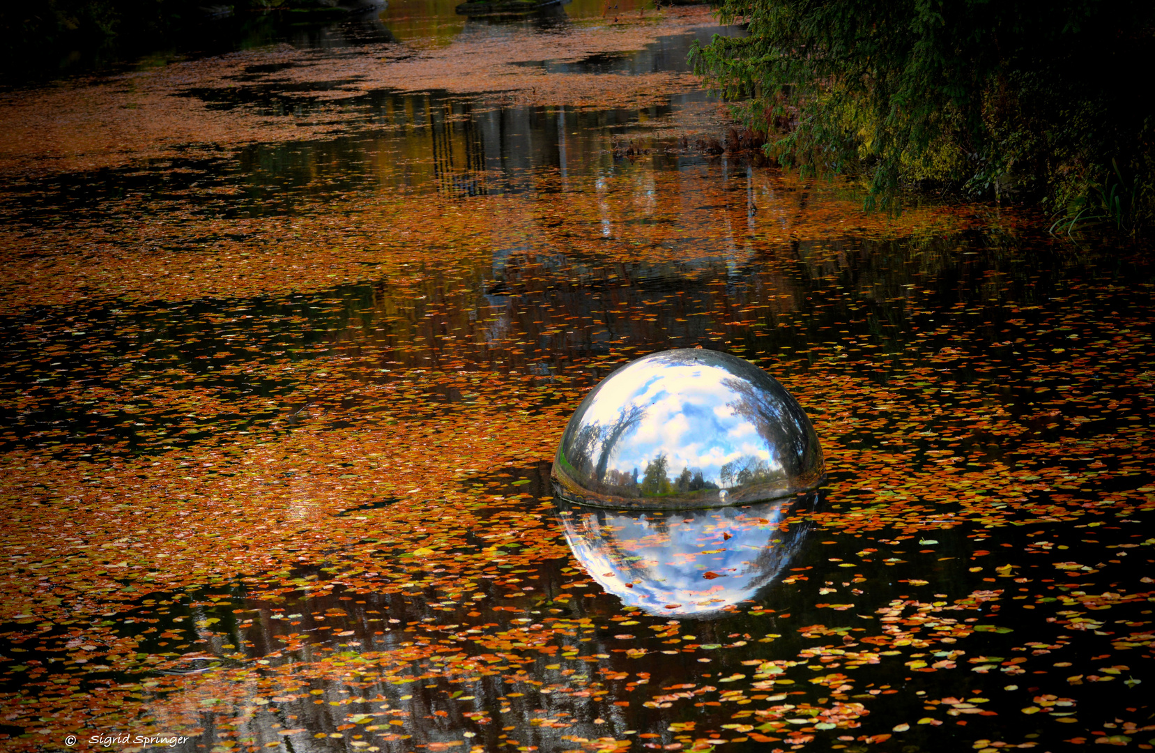 Spiegelungen im Schlosspark