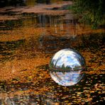 Spiegelungen im Schlosspark