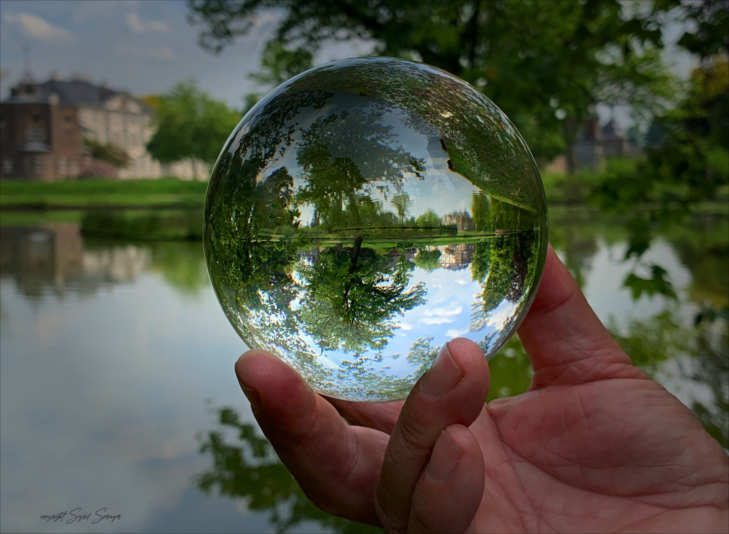 Spiegelungen im Schlosspark