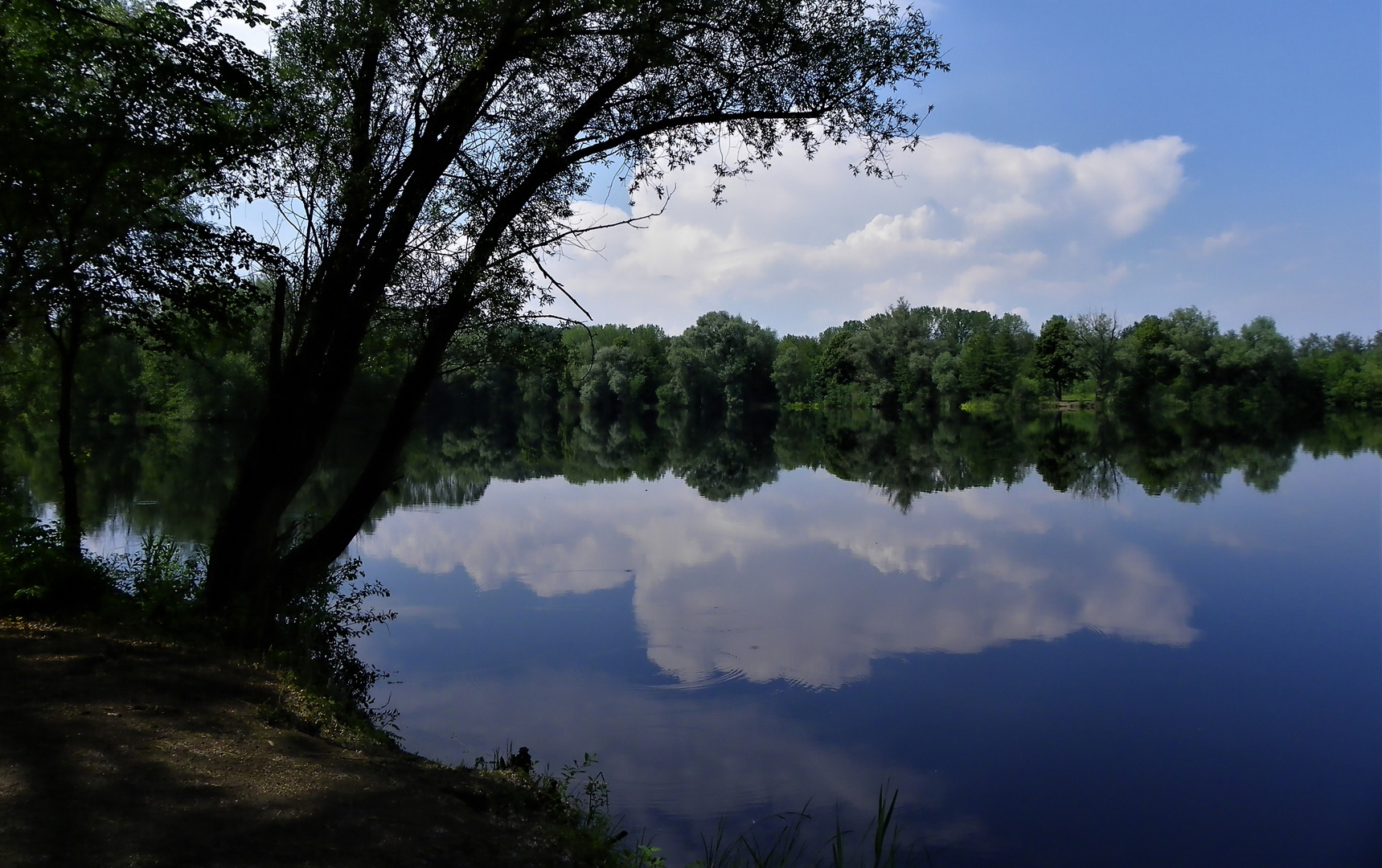 Spiegelungen im See