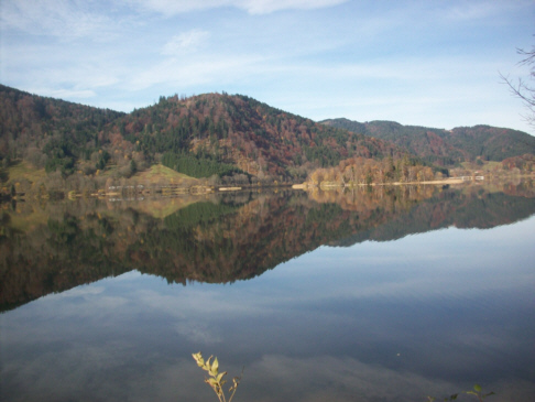 Spiegelungen im See