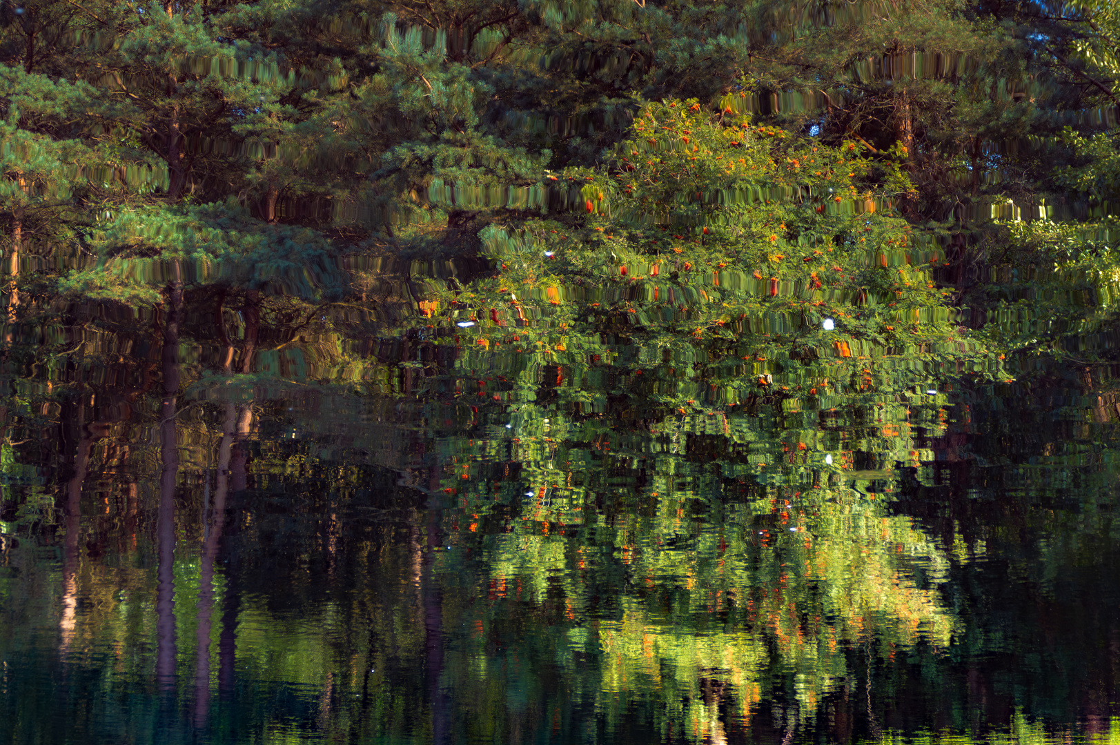 Spiegelungen im See