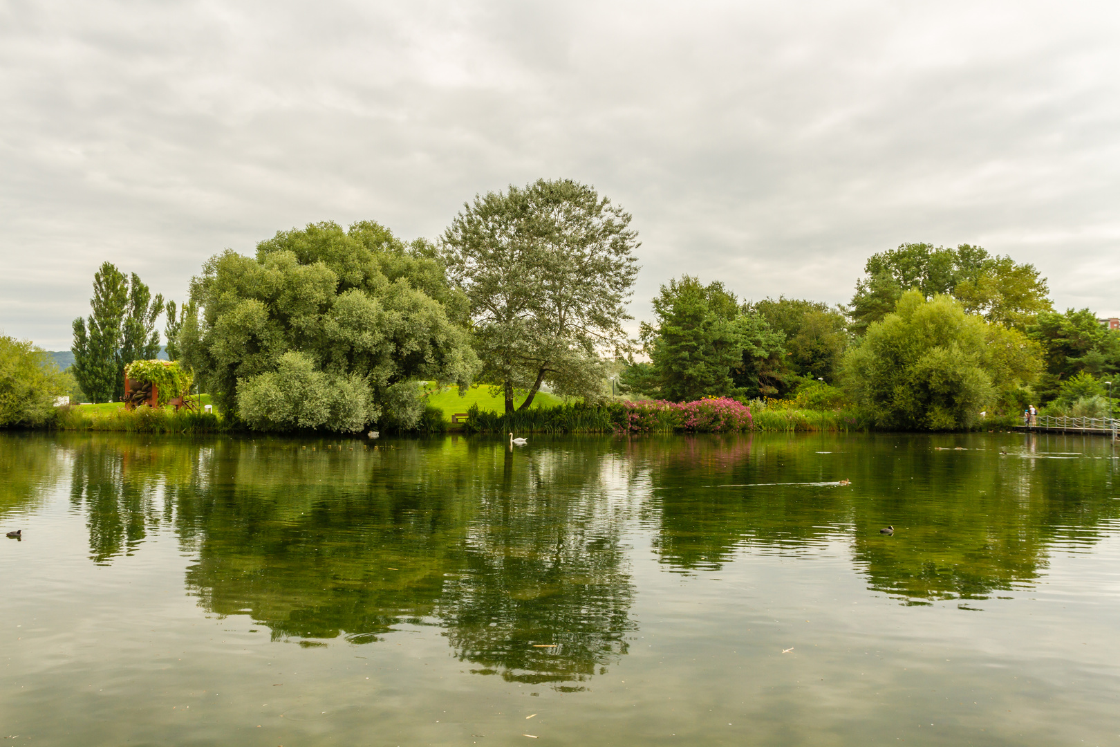 Spiegelungen im See