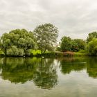 Spiegelungen im See