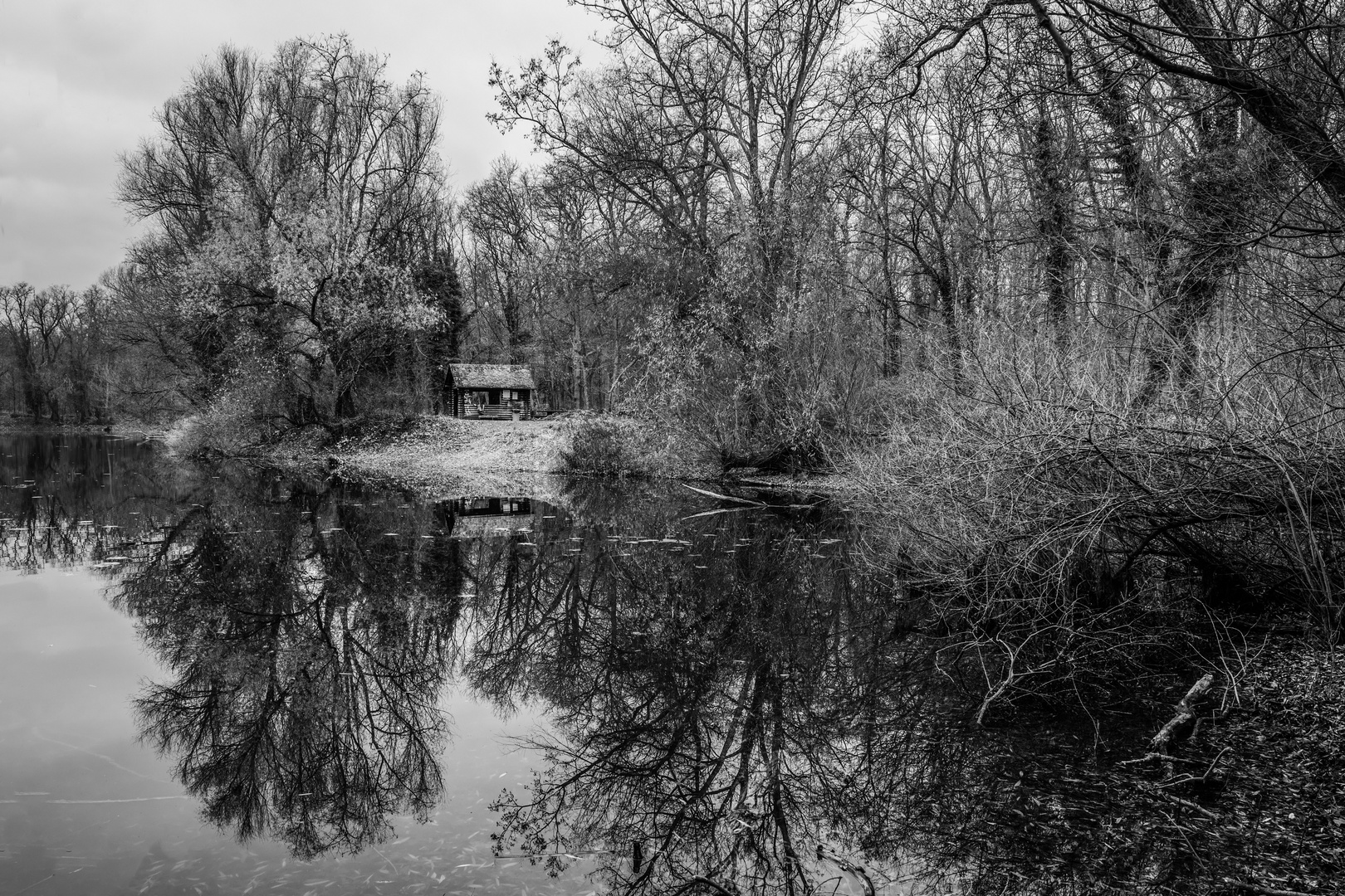 Spiegelungen im See