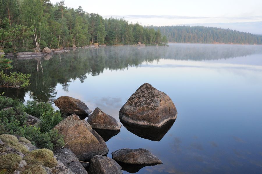 Spiegelungen im See morgens vor Sonnenaufgang