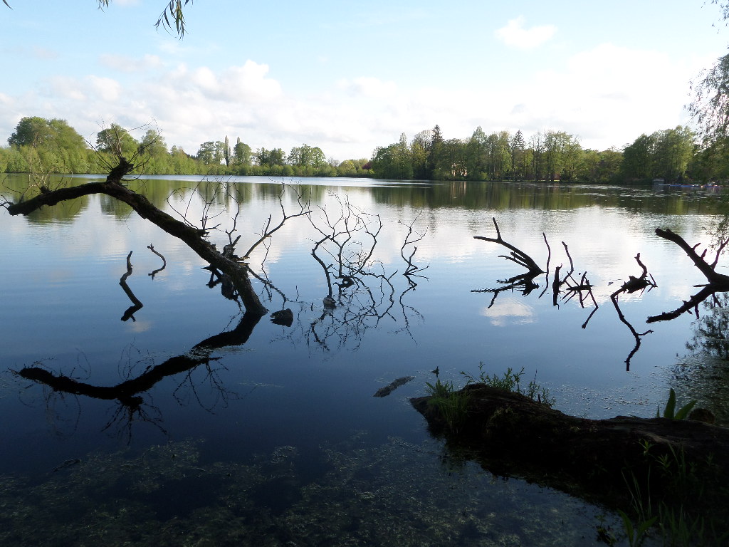 Spiegelungen im See (Rantzauer See Barmstedt)