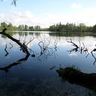 Spiegelungen im See (Rantzauer See Barmstedt)