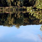 Spiegelungen im Sonnensee