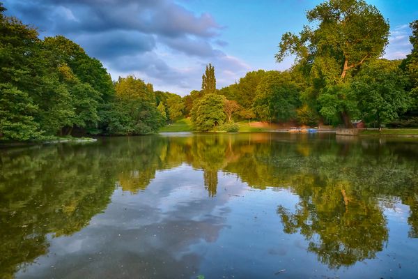 Spiegelungen im Stadtpark