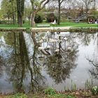             Spiegelungen im Stadtparksee