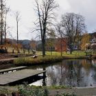 Spiegelungen im Teich