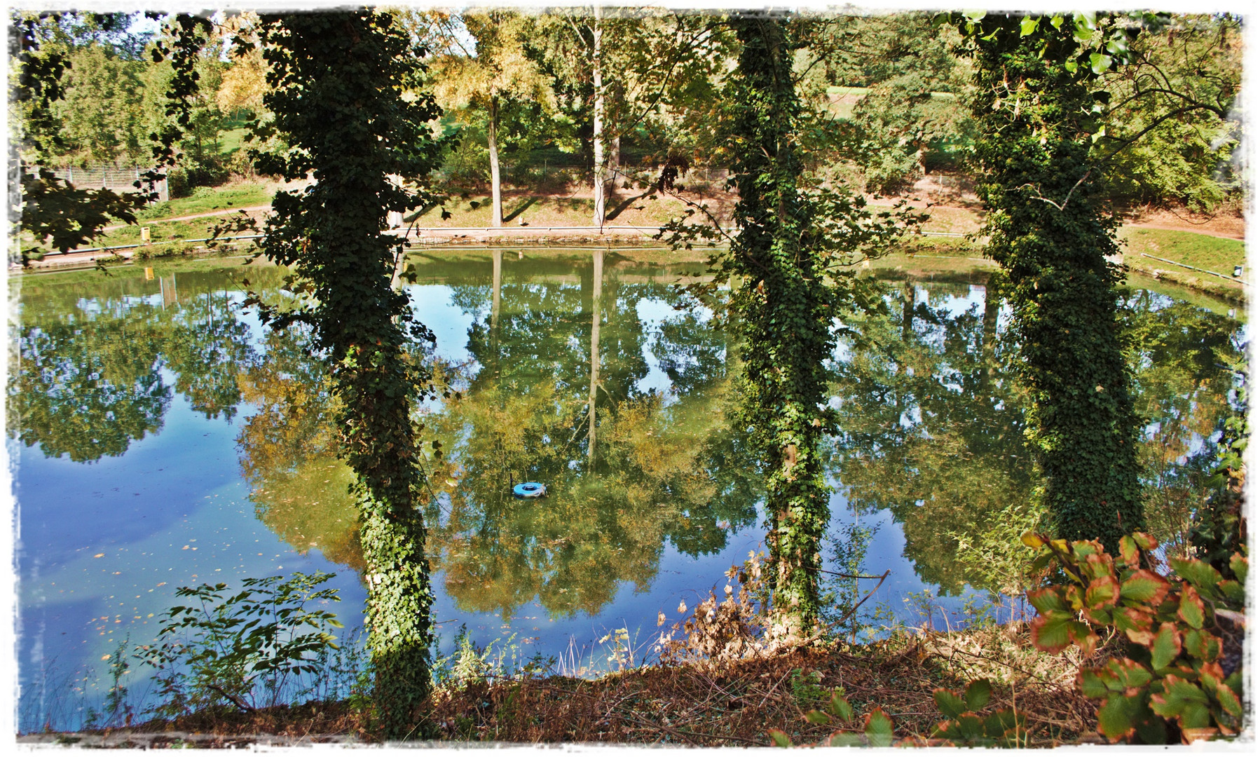 Spiegelungen im Teich