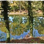 Spiegelungen im Teich