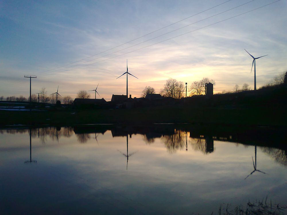 Spiegelungen  im Teich 7.4. 2015