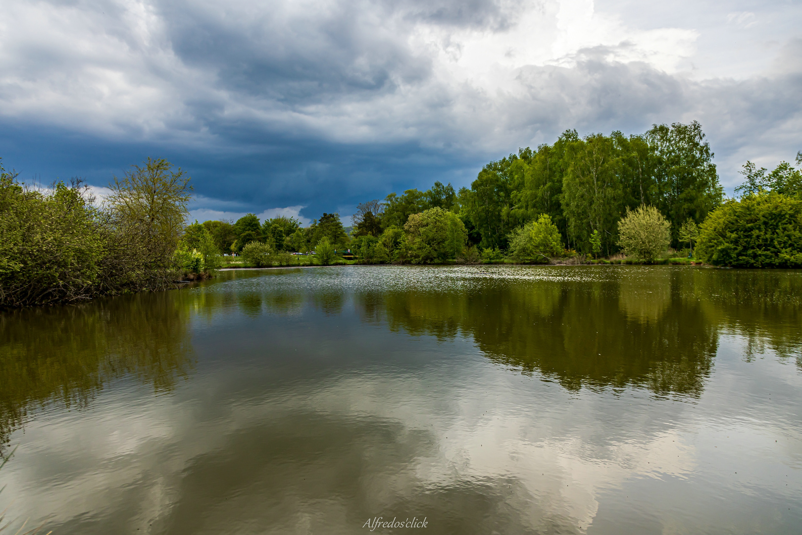 Spiegelungen im Teich