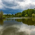 Spiegelungen im Teich