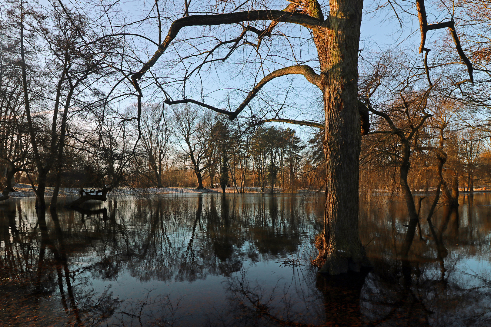 Spiegelungen im Teich