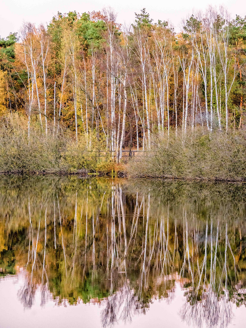 Spiegelungen im Teufelssee