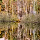 Spiegelungen im Teufelssee