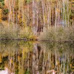 Spiegelungen im Teufelssee