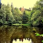 Spiegelungen im Waldteich